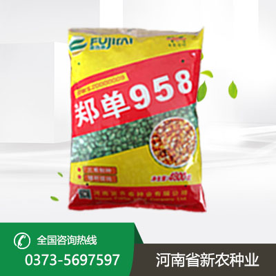 山西玉米种子高产品种