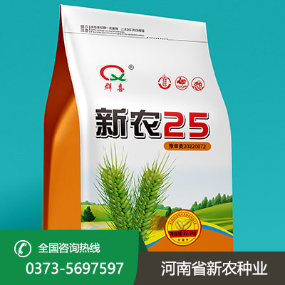 山西大量批发小麦种子