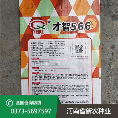 山西抗倒小麦种子